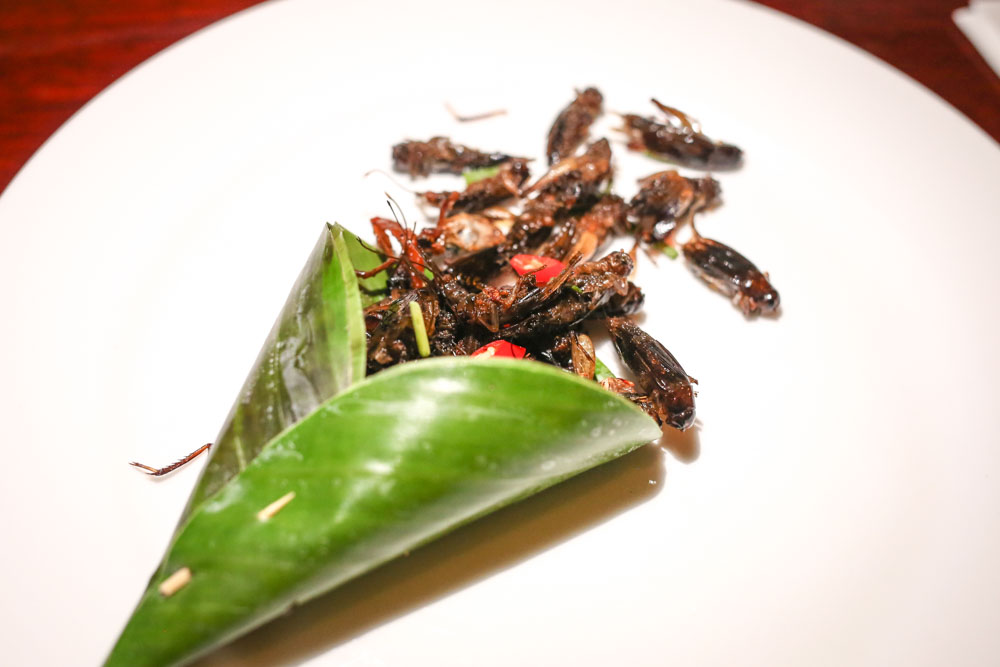 Eating Bugs in Siem Reap, Cambodia