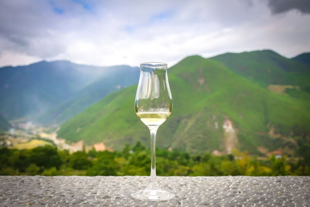 Shangrila Yunnan China Trip white wine