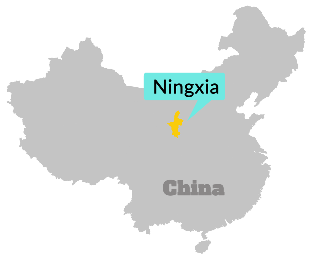 Wine Taste Through China's Ningxia Wine Region 4day Trip by Lost Plate