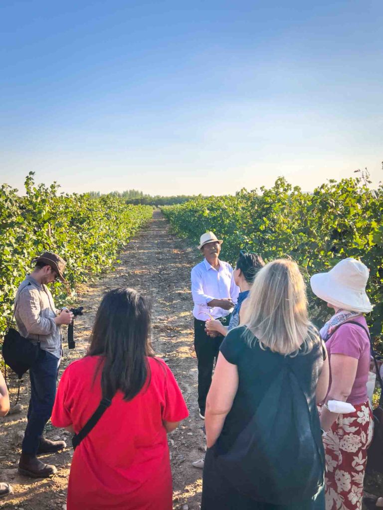 Wine Taste Through China's Wine Region of Ningxia 16