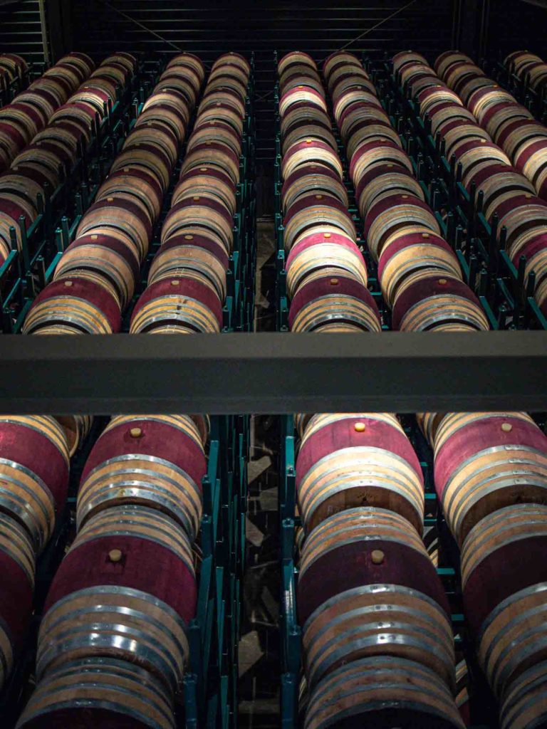 Wine Taste Through China's Wine Region of Ningxia 3