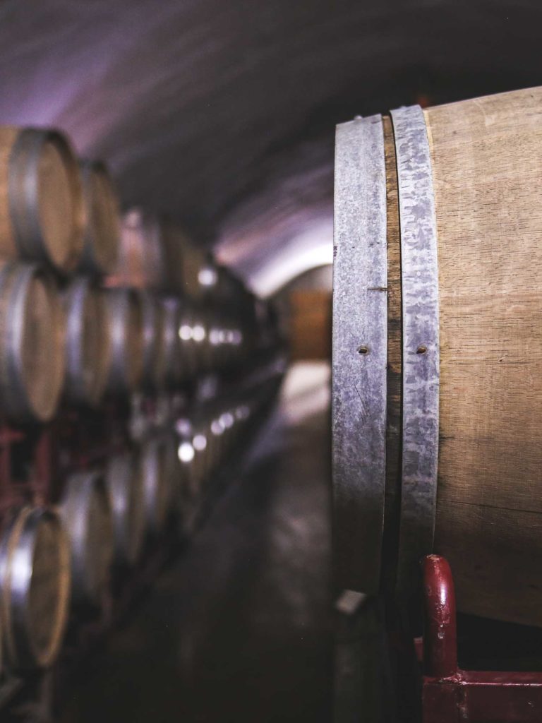 Wine Taste Through China's Wine Region of Ningxia 6