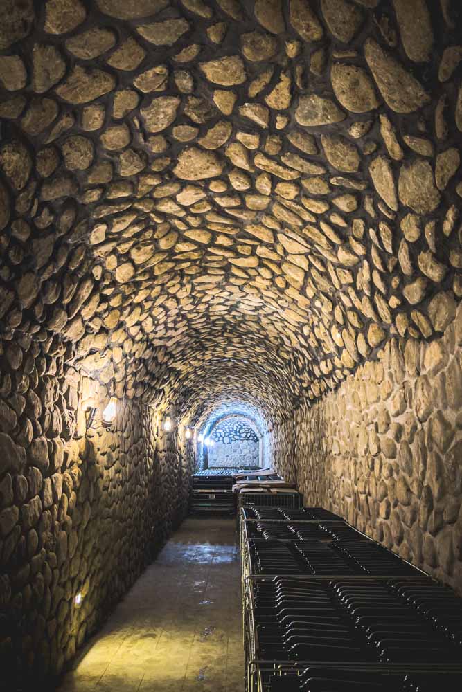 Wine Taste Through China's Wine Region of Ningxia Charme Cellar