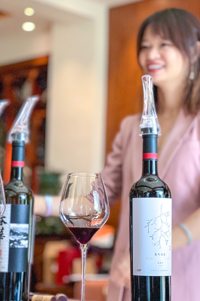 Wine Taste Through China's Wine Region of Ningxia Pushang Tasting