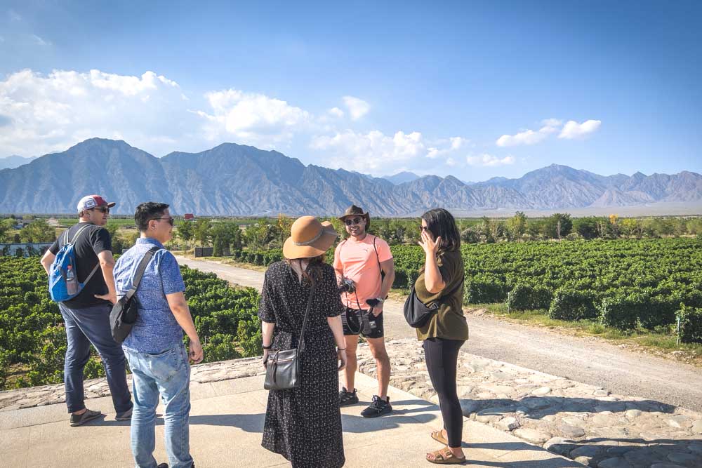 Wine Taste Through China's Wine Region of Ningxia Vineyard Visit
