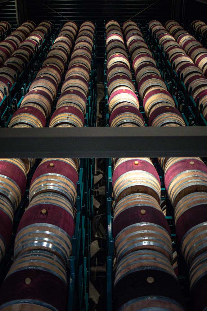 Wine Taste Through China's Wine Region of Ningxia Xige Barrels