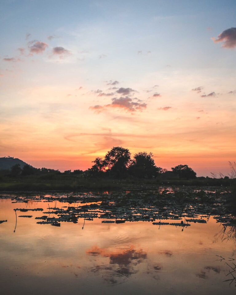 Old Siem Reap Evening Food Tour​ 14