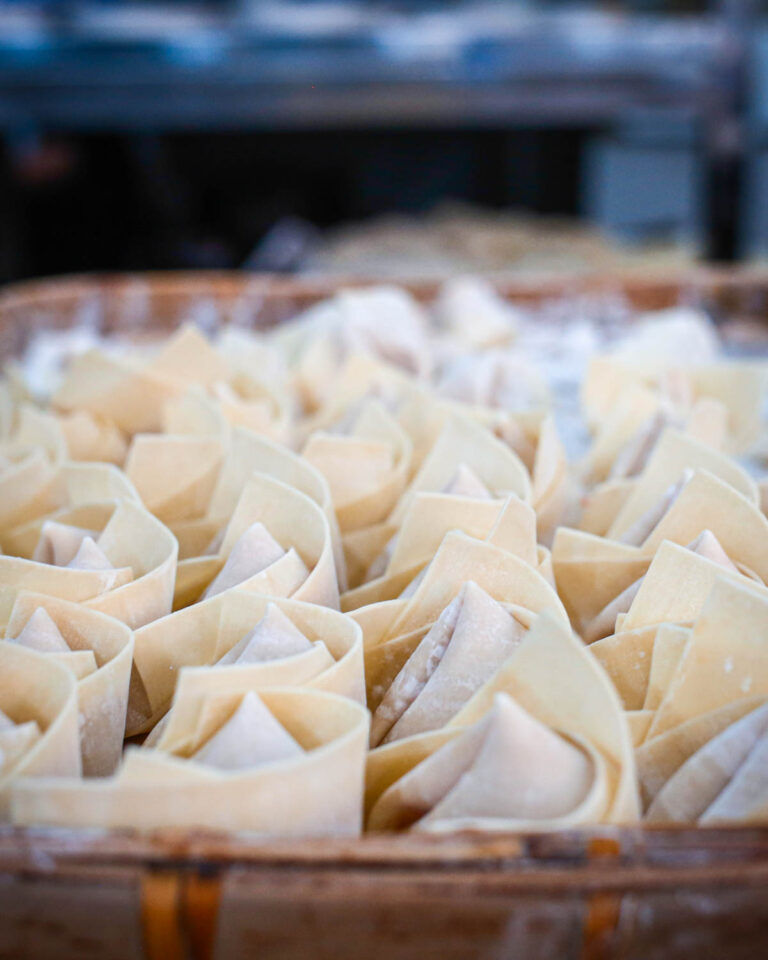 Fresh wontons