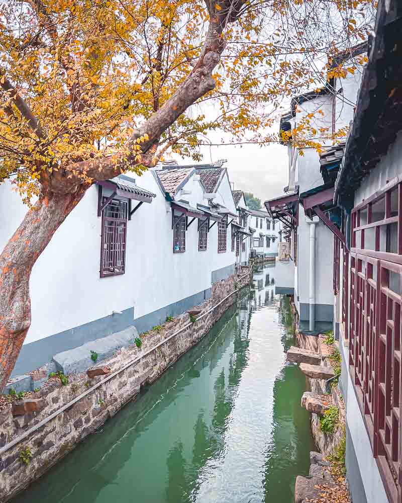 Suzhou Alleyway Food Tour Venice of the East