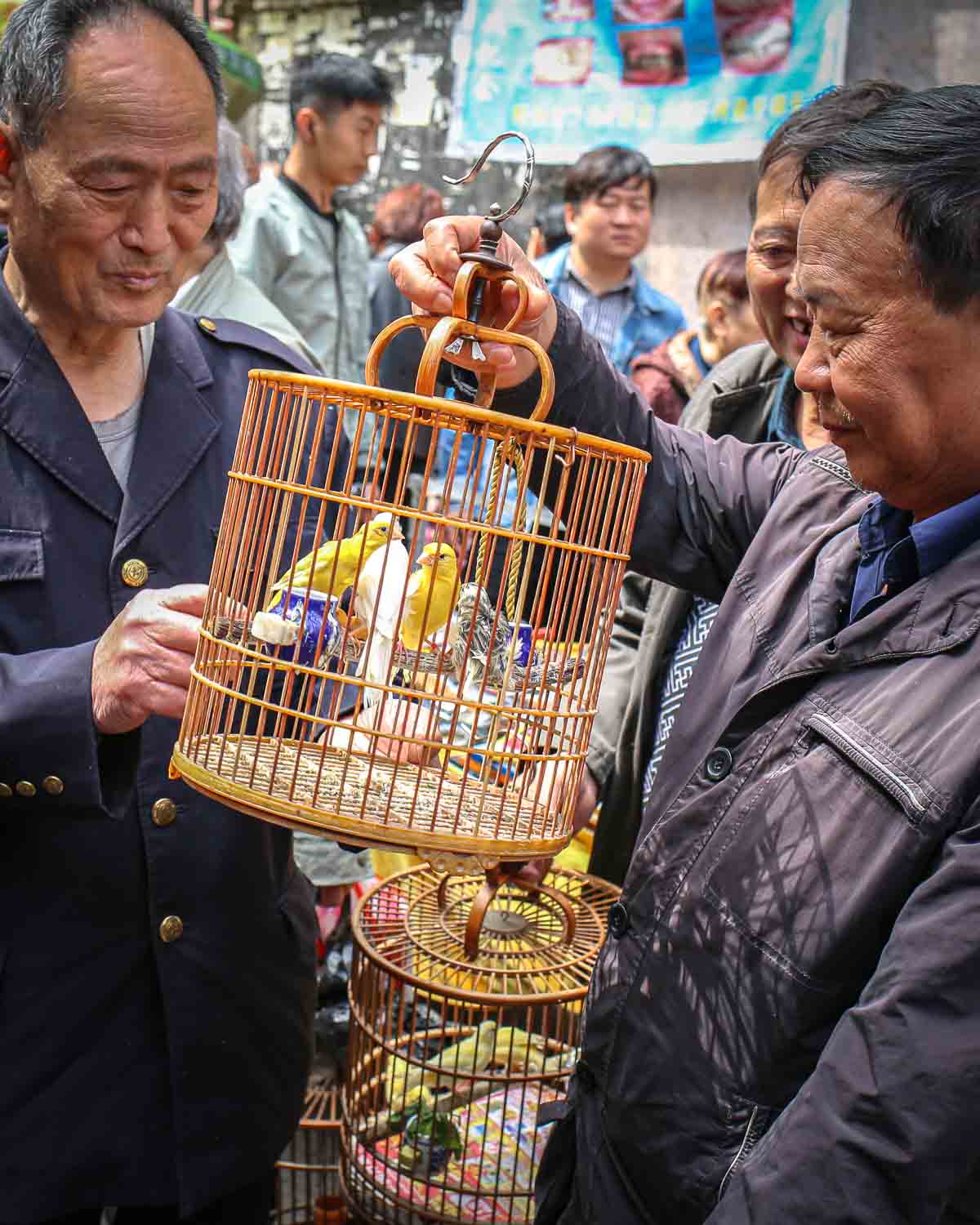 Xian Morning Market & Breakfast Food Tour Market Birds