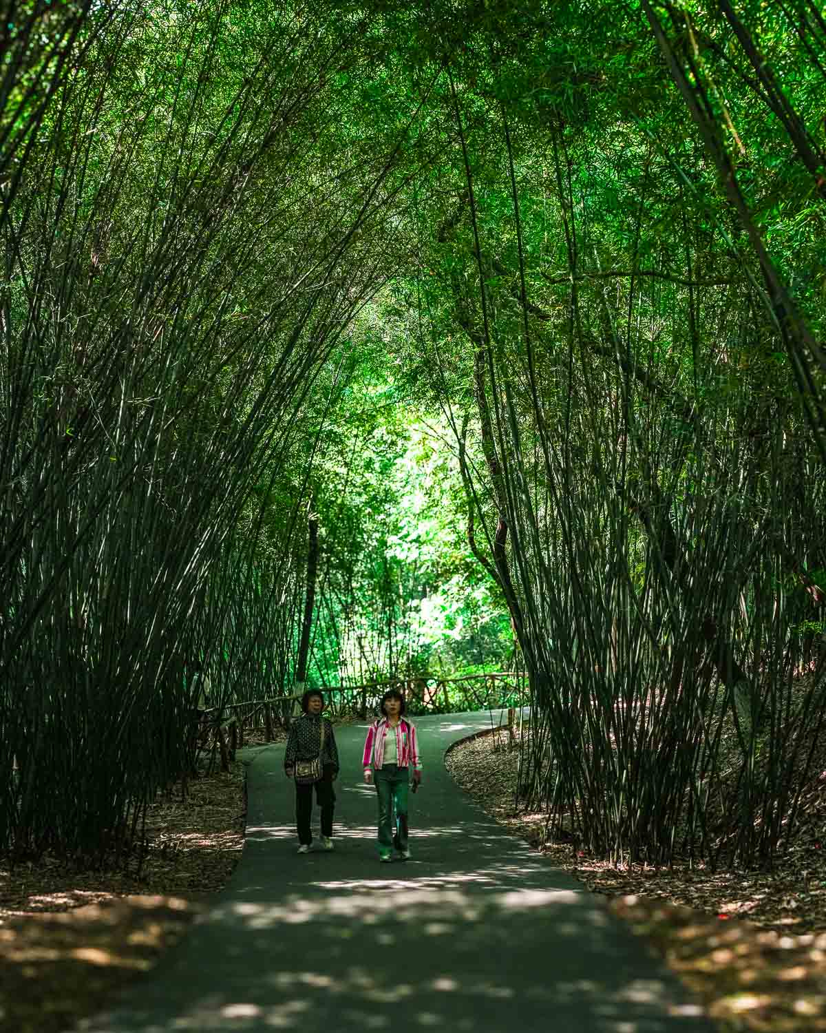 Culinary Journey of Chengdu Trip Panda Base Path