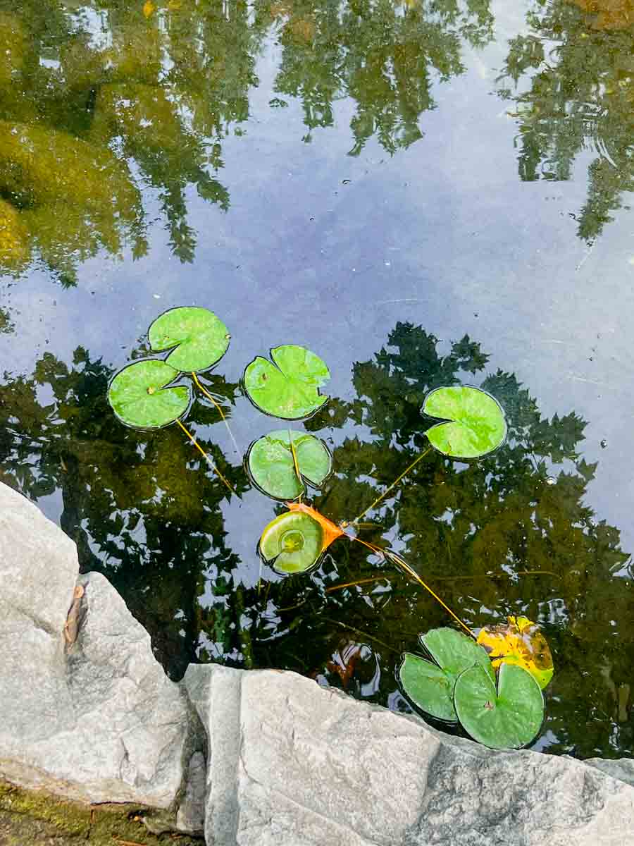 SH_FUXING PARK-4