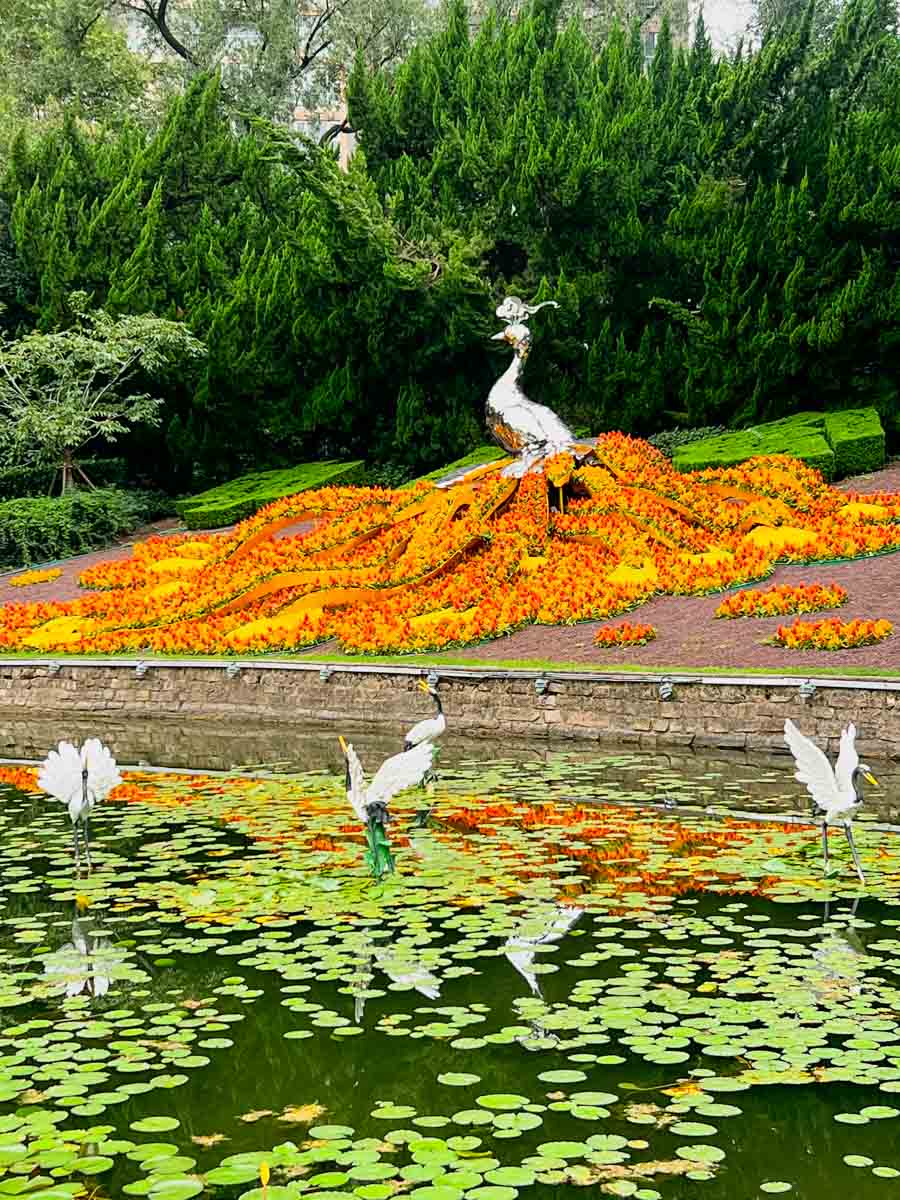 SH_ZHONGSHAN PARK-7