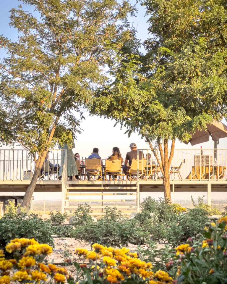 Private Ningxia winery