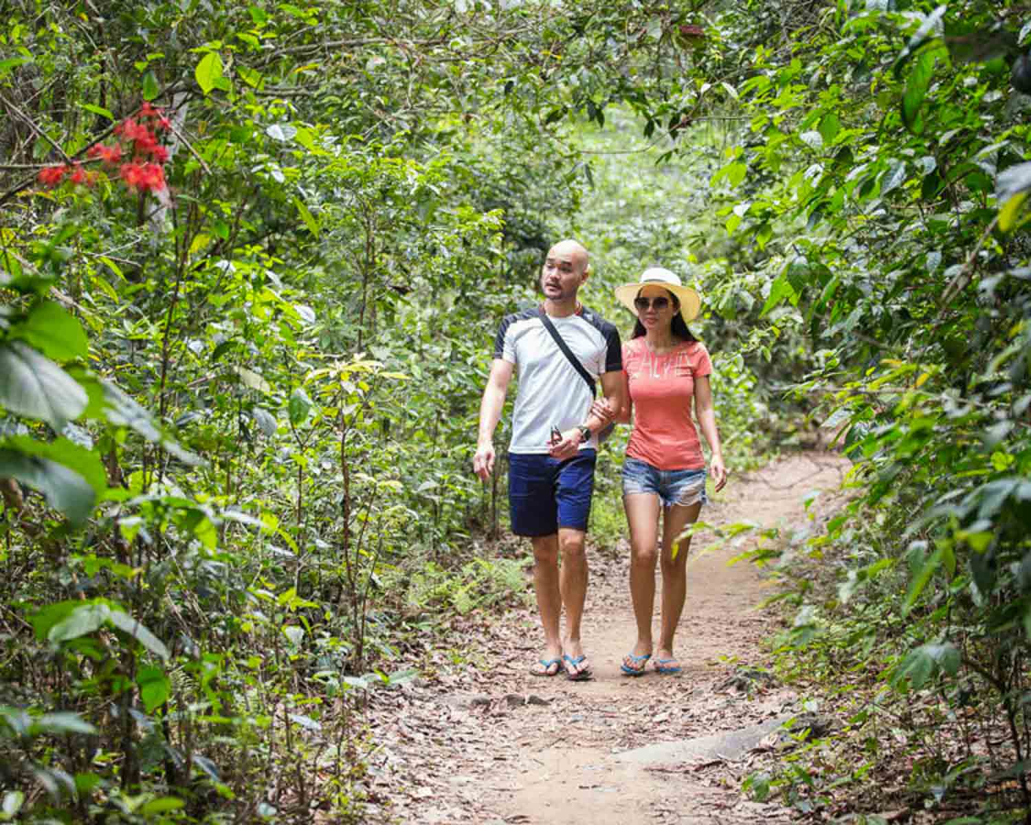 Guests walking through forest