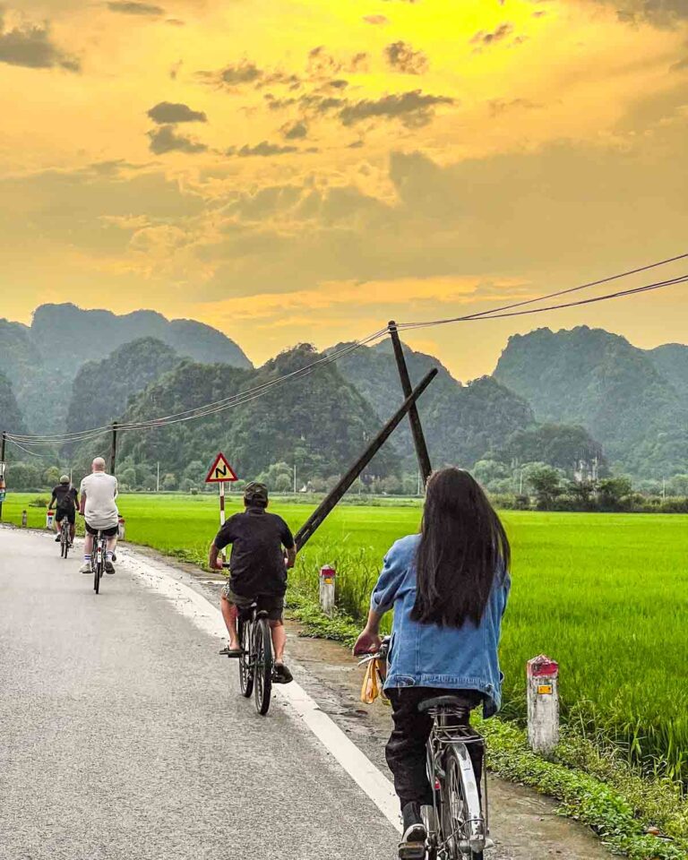 Guests cycling at sunset