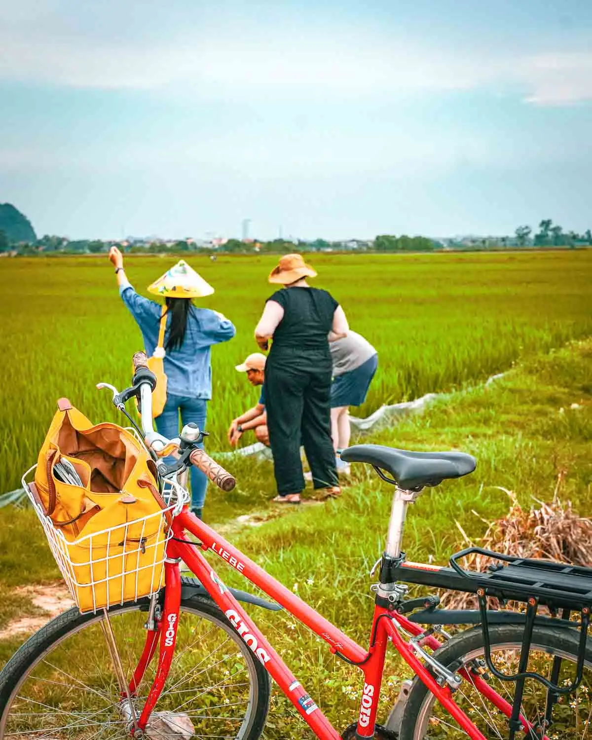 Guests exploring a rice paddy during a cycle