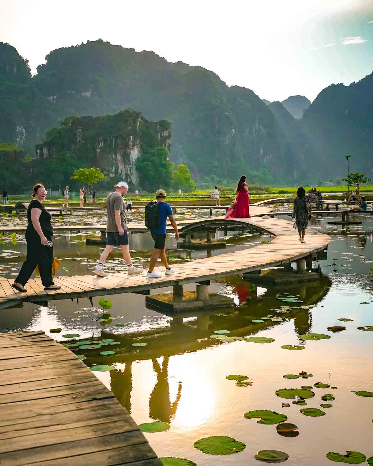 Guests walking through a lotus field path