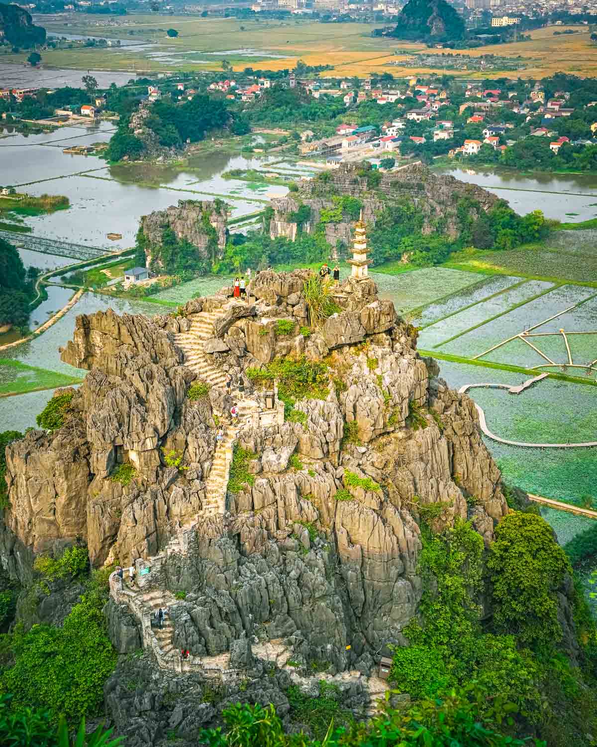View of pagoda from viewpoint