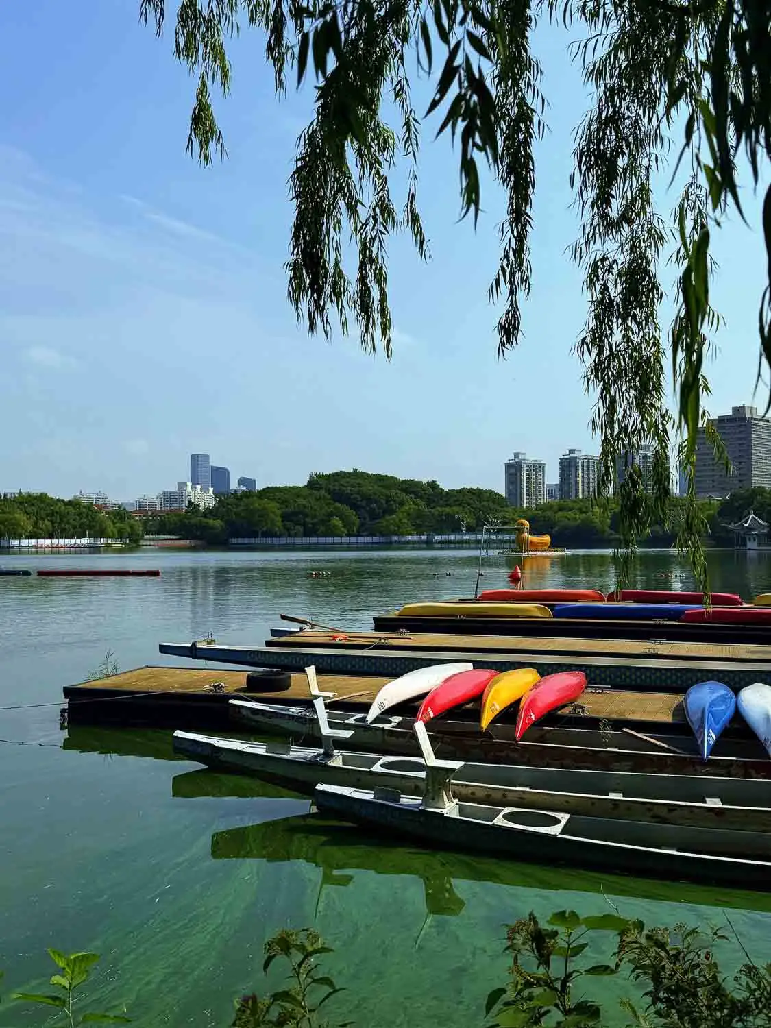 Shanghai_Park_Article