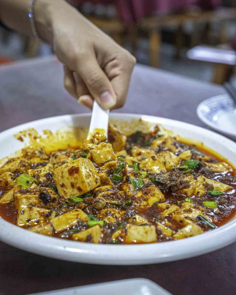 Giant Bowl of Mapo Tofu