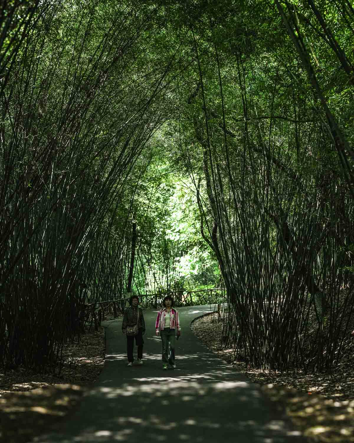 Chengdu Giant Panda Research Base Pathway