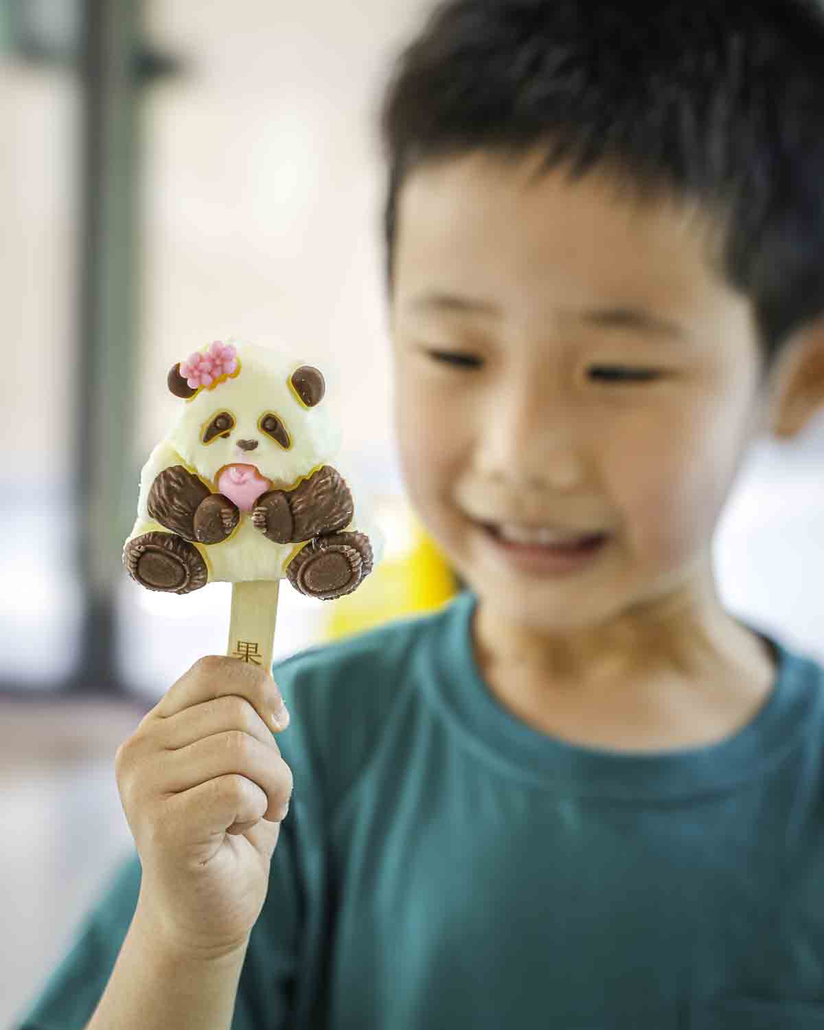 Child Holding Panda Ice Cream Bar