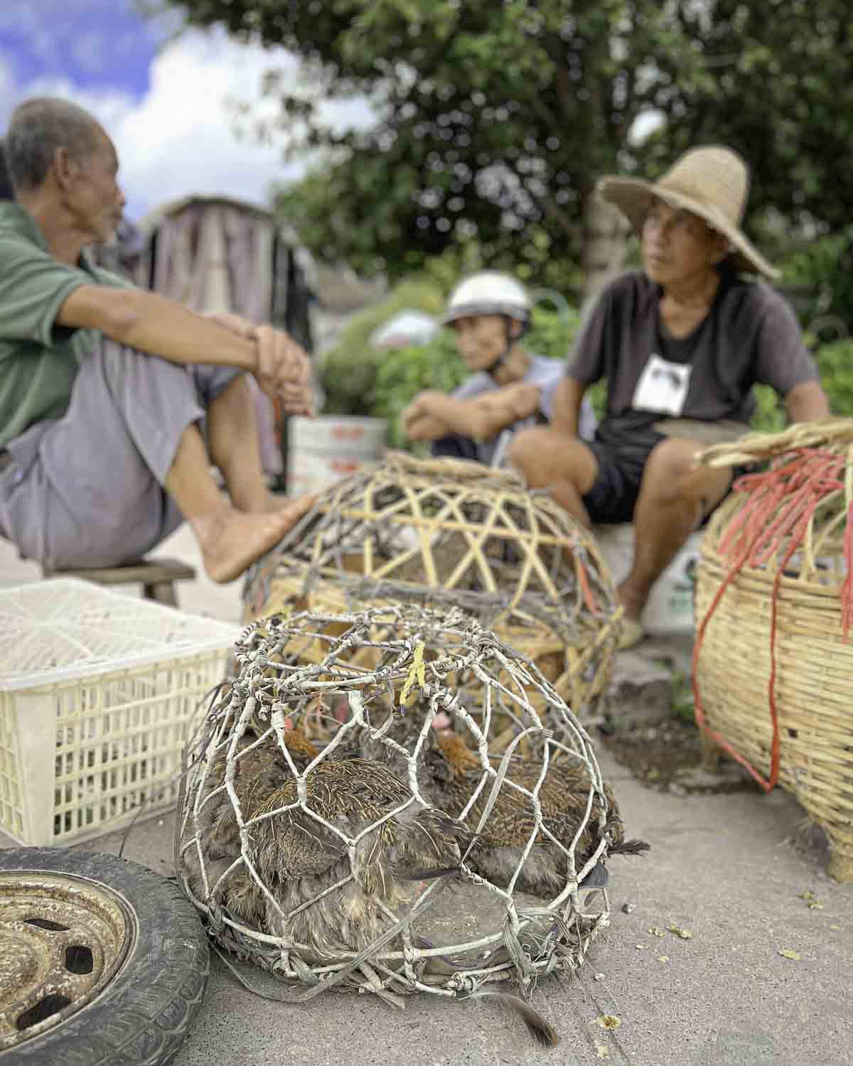 Local chicken farmers at the market