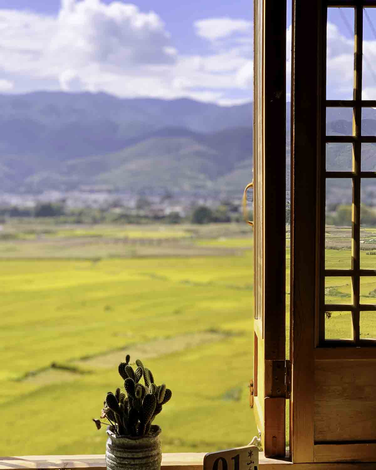 View from Shaxi countryside cafe