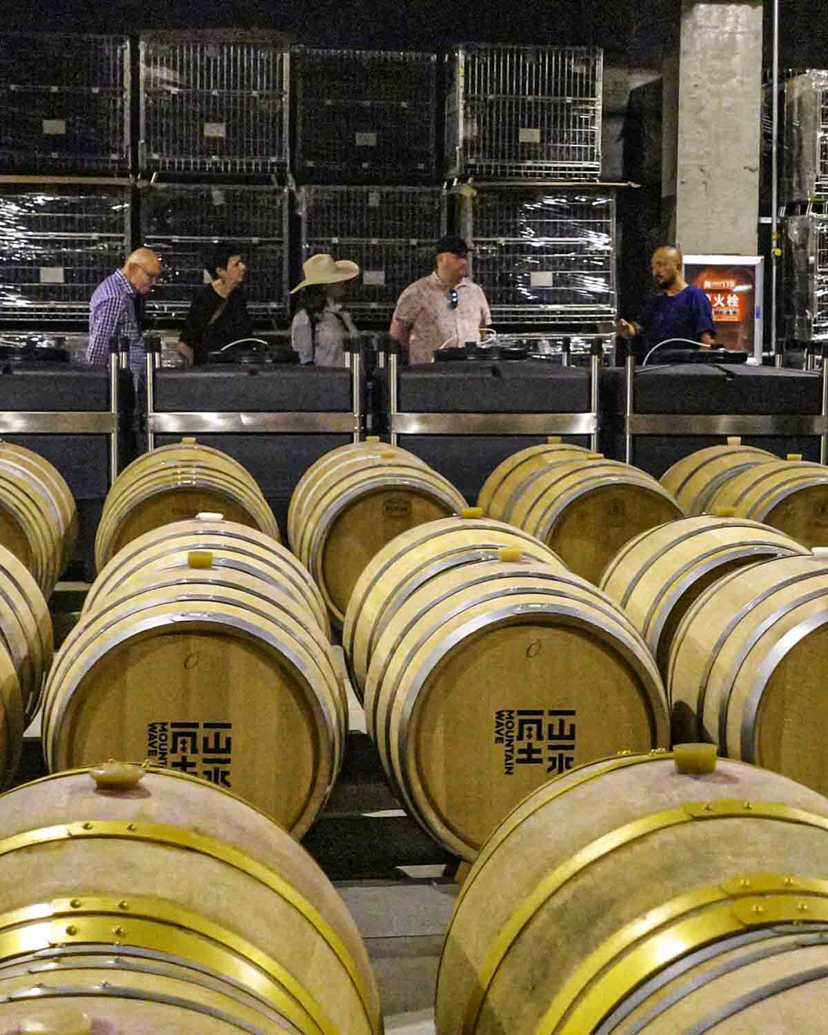 Mountain Wave wine cellar