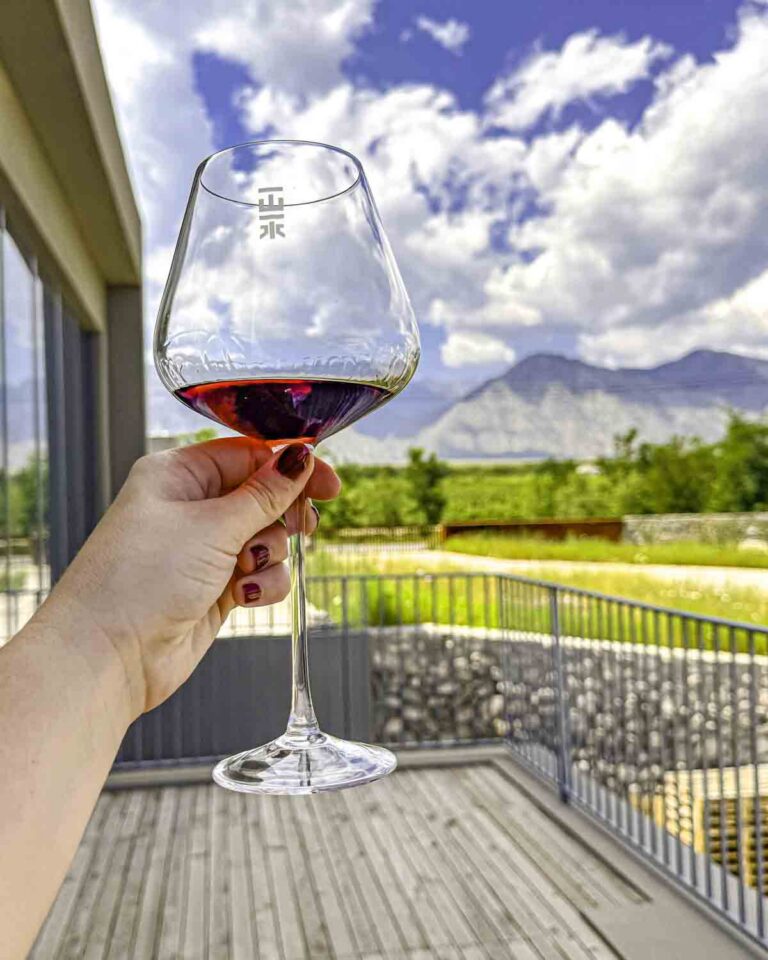 Holding a glass in front of vineyard view