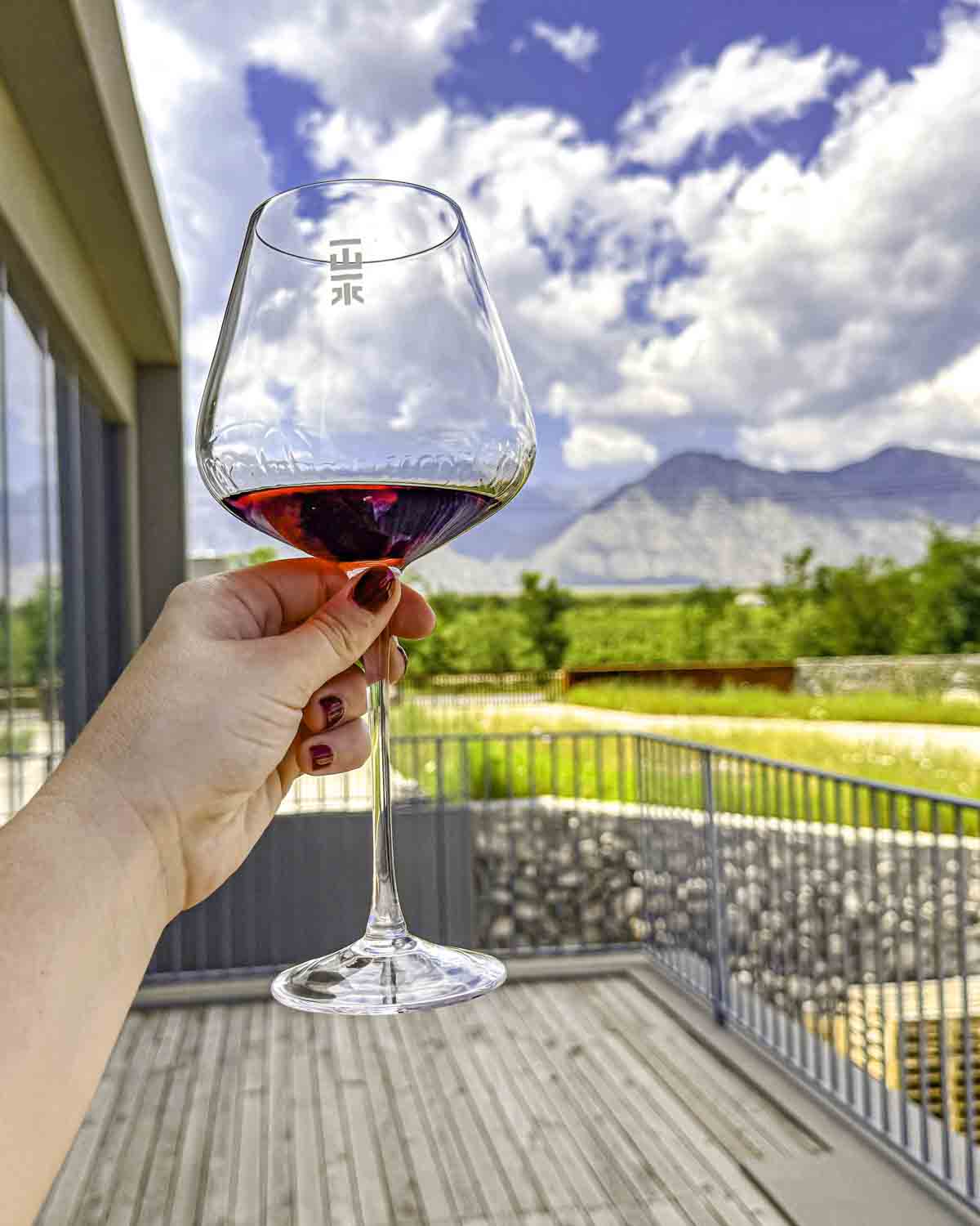 Holding a glass in front of vineyard view