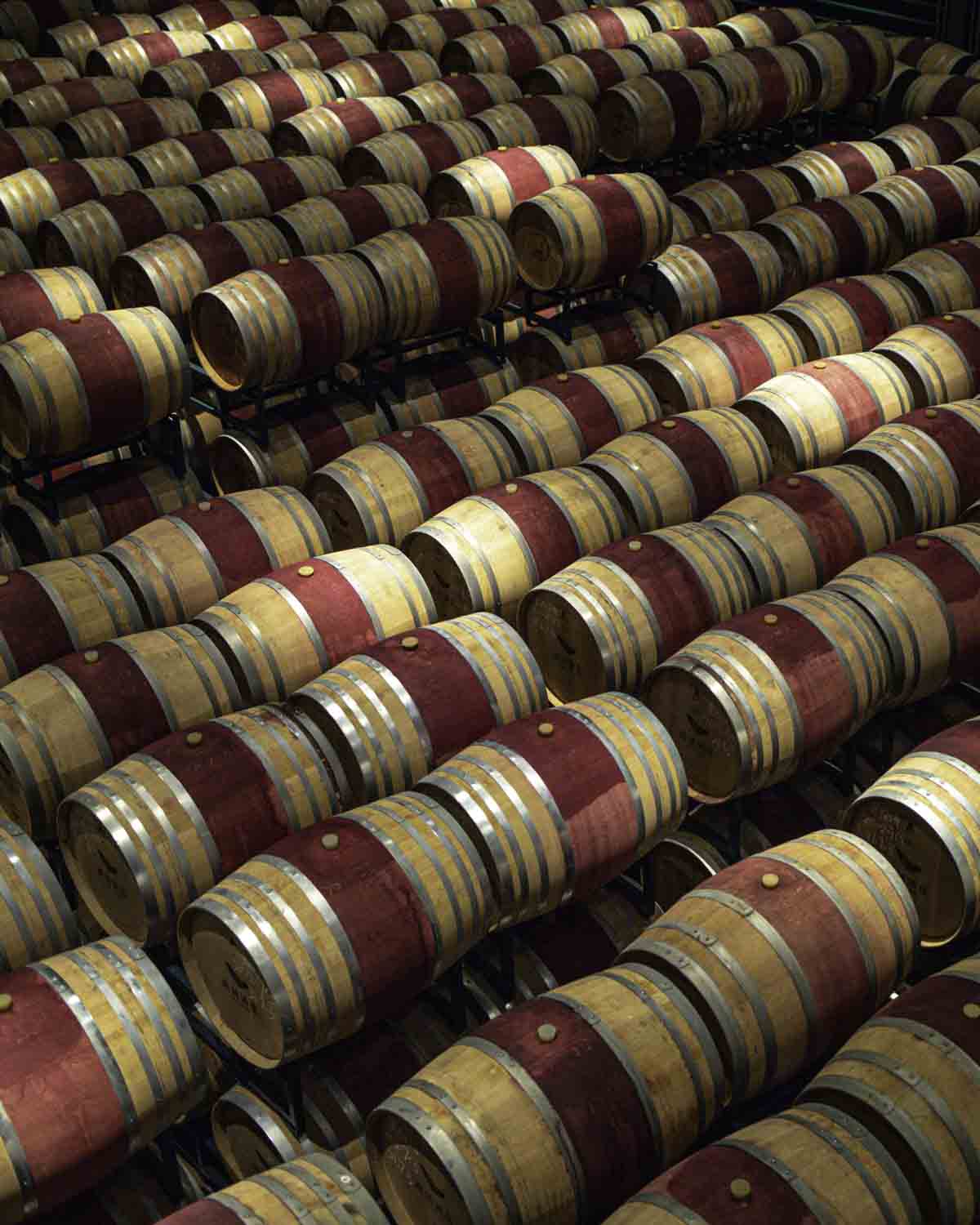 Xige Cellar